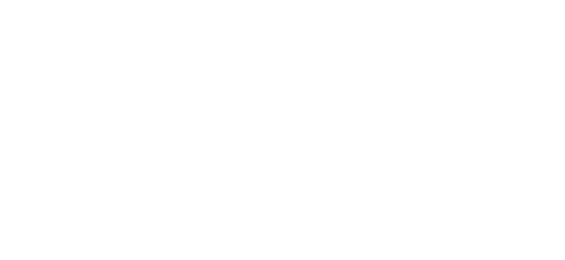 بینک آف پنجاب logo